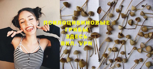крисы Нефтегорск