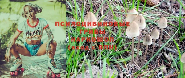 крисы Нефтегорск