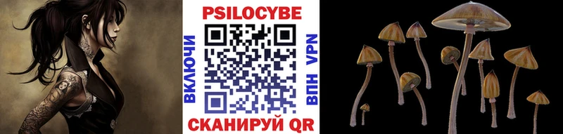 хочу наркоту  Петропавловск-Камчатский  Псилоцибиновые грибы MAGIC MUSHROOMS 
