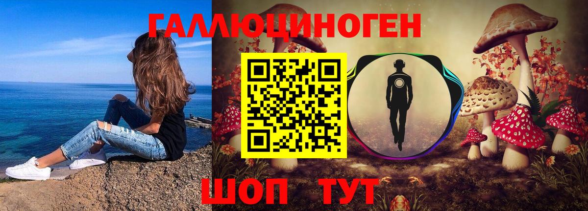 Псилоцибиновые грибы GOLDEN TEACHER Петропавловск-Камчатский