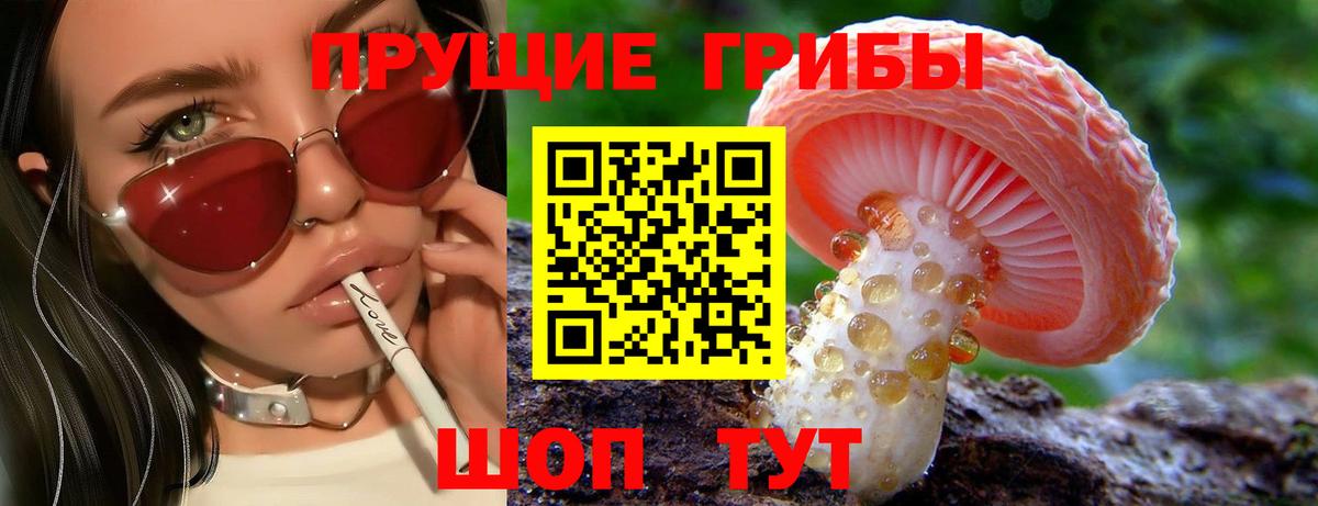Петропавловск-Камчатский  Псилоцибиновые грибы Psilocybe  Вход с VPN 